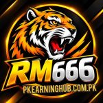 RM666